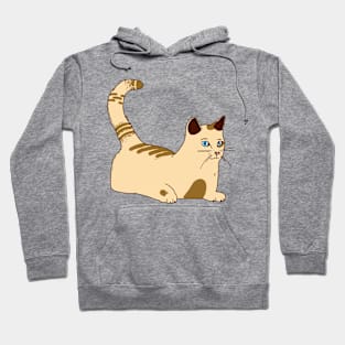 Just the cat Hoodie